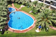 Apartment in Cambrils - Apartamento Les Palmeres