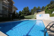 Apartment in Miami Playa - Villa Adriana C A204
