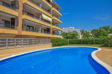 Apartment in Cambrils - Paradis 33 2 2