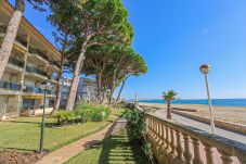 Apartment in Cambrils - VERSALLES  A 3er 1ra