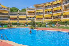 Apartment in Cambrils - OLIMPIC BAJOS 19