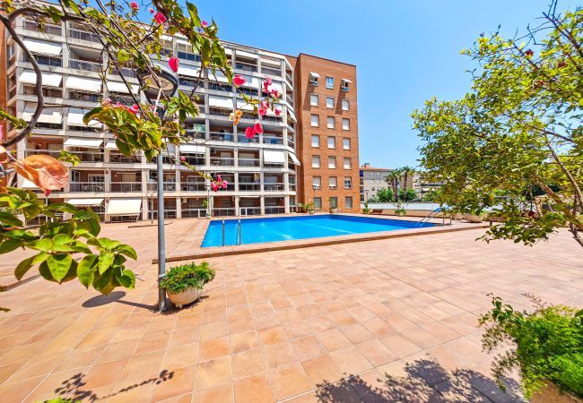 Apartment in Cambrils - OLIMAR A 4 11 Apartment in Cambrils - OLIMAR A 4 11