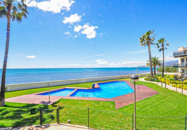 Apartment in Cambrils - DI MARE 31 Apartment in Cambrils - DI MARE 31