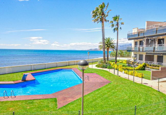 Apartment in Cambrils - DI MARE 31 Apartment in Cambrils - DI MARE 31