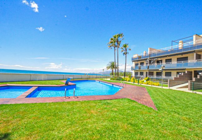 Apartment in Cambrils - DI MARE 31 Apartment in Cambrils - DI MARE 31