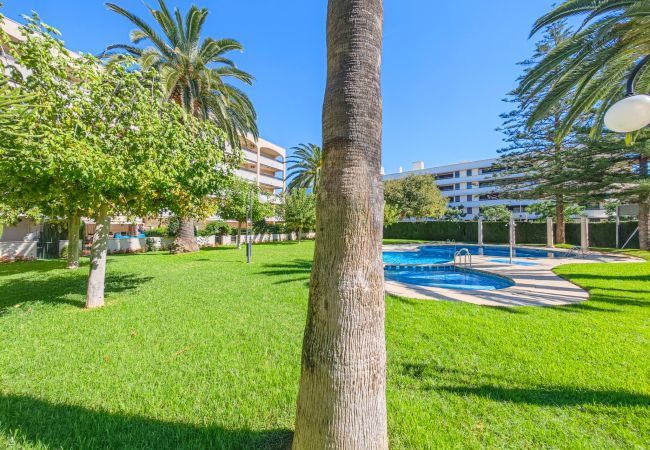 Apartment in Cambrils - Regata 309 Apartment in Cambrils - Regata 309