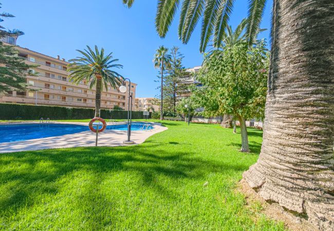Apartment in Cambrils - Regata 309 Apartment in Cambrils - Regata 309