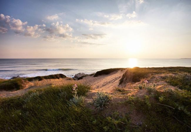 House in Saint-Hilaire-de-Riez - hoomy10131 House in Saint-Hilaire-de-Riez - hoomy10131