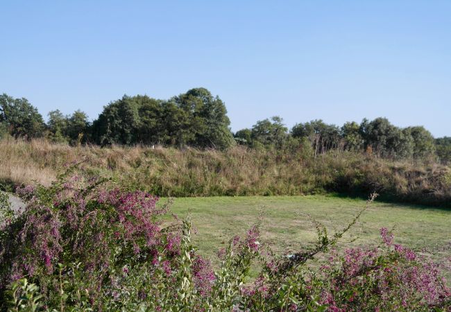 Terraced House in Commequiers - hoomy10135 Terraced House in Commequiers - hoomy10135