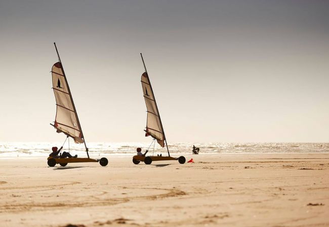 Terraced House in Commequiers - hoomy10135 Terraced House in Commequiers - hoomy10135