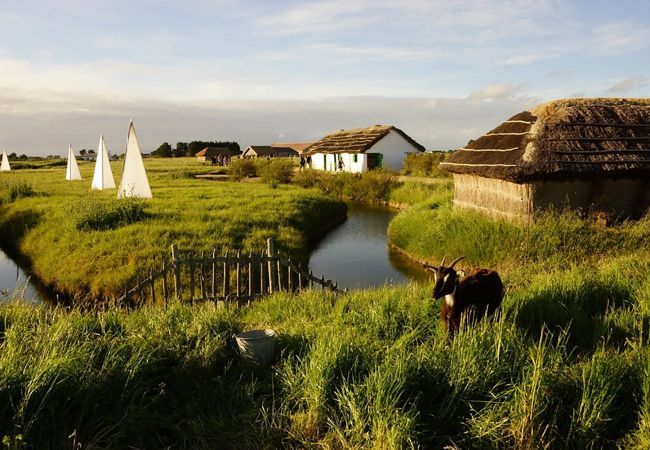 House in Notre-Dame-de-Monts - hoomy10143 House in Notre-Dame-de-Monts - hoomy10143