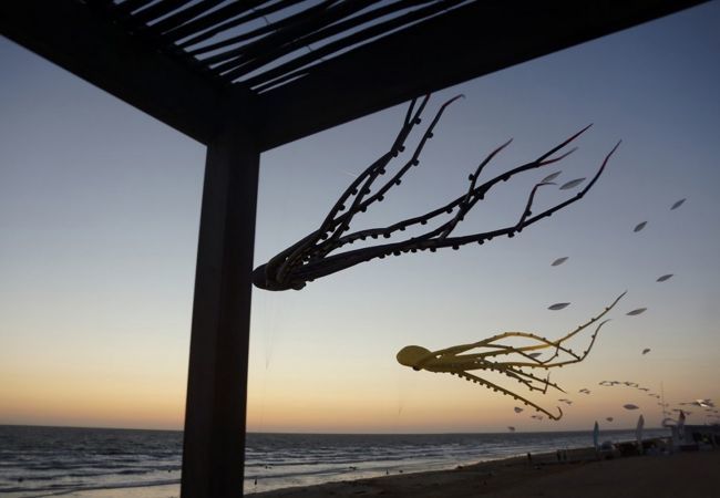 House in Notre-Dame-de-Monts - hoomy10143 House in Notre-Dame-de-Monts - hoomy10143