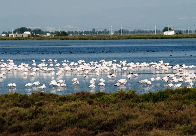 Apartment in Miami Playa - Apartamento Los Pelicanos Apartment in Miami Playa - Apartamento Los Pelicanos