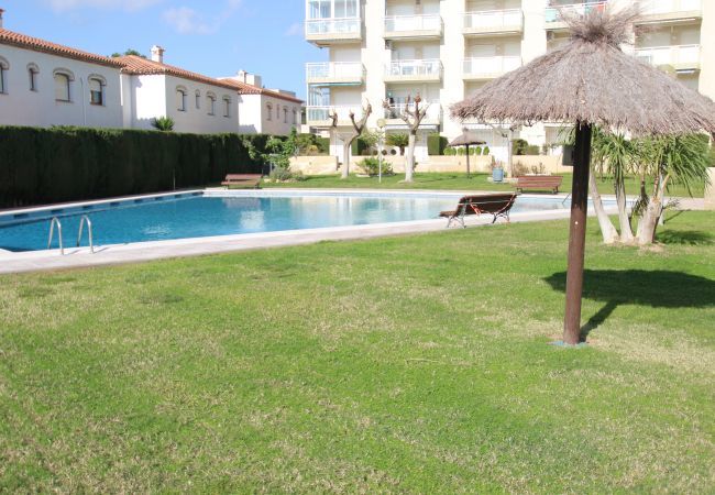 Apartment in Miami Playa - Apartamento Los Pelicanos Apartment in Miami Playa - Apartamento Los Pelicanos