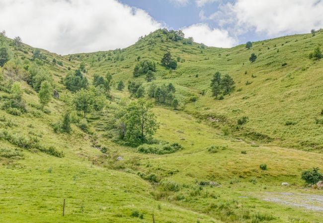 Apartment in Adervielle-Pouchergues - hoomy10533 Apartment in Adervielle-Pouchergues - hoomy10533