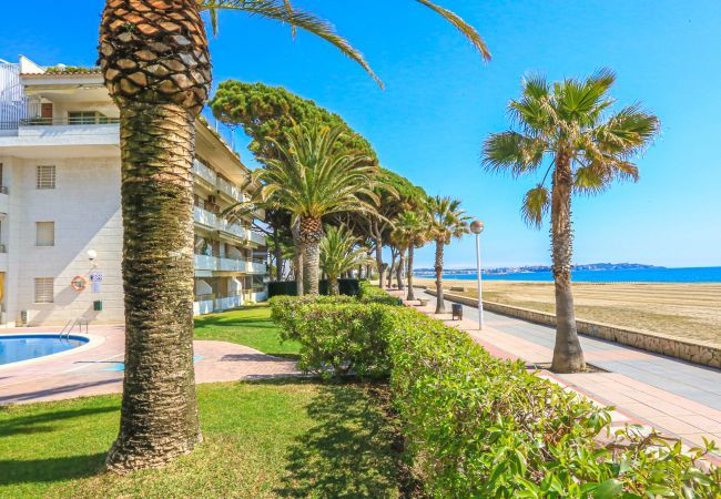 Apartment in Cambrils - COLIBRI 302 Apartment in Cambrils - COLIBRI 302