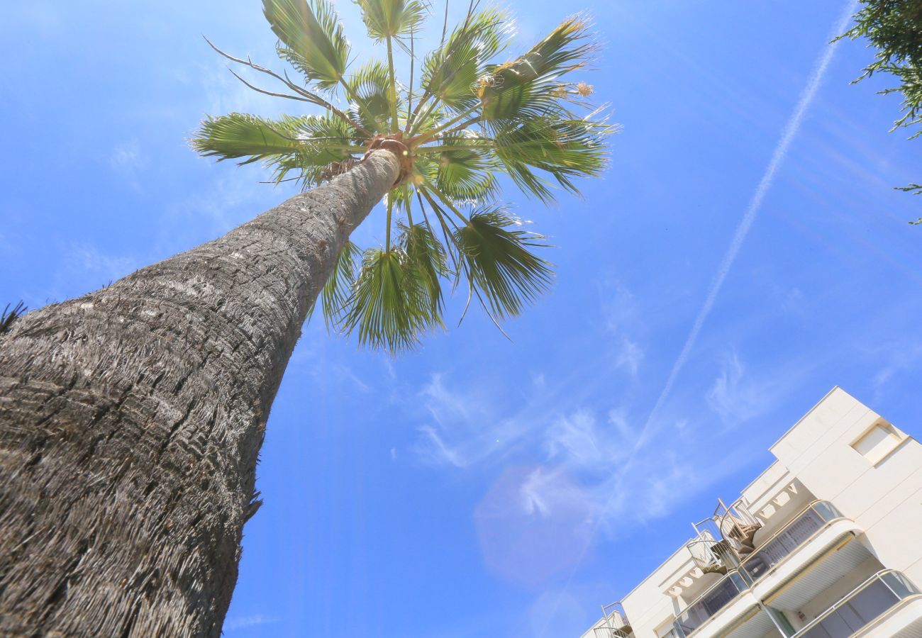 Apartment in Cambrils - CAMBRILS PARK A 4 D Apartment in Cambrils - CAMBRILS PARK A 4 D