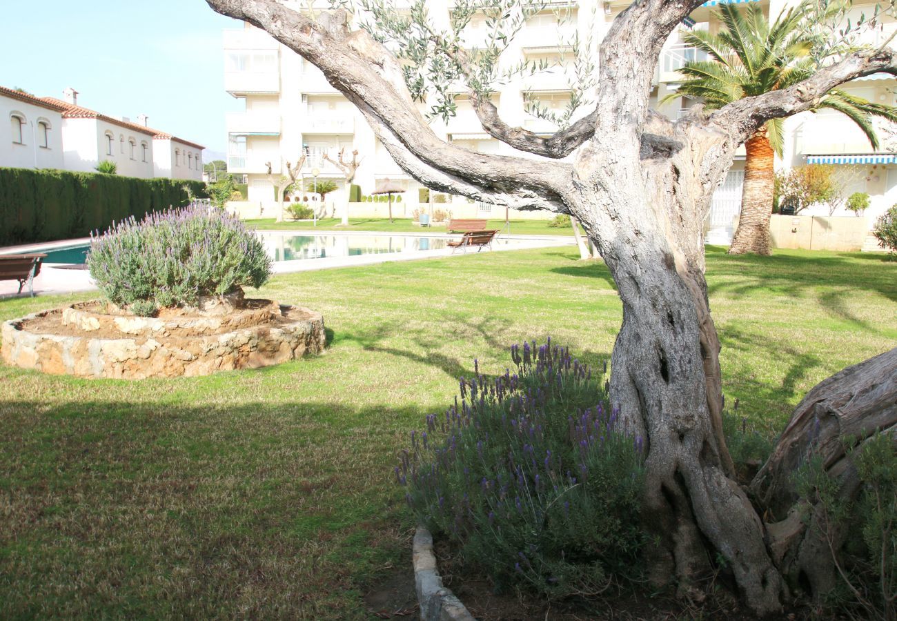 Apartment in Miami Playa - Apartamento Los Pelicanos Apartment in Miami Playa - Apartamento Los Pelicanos