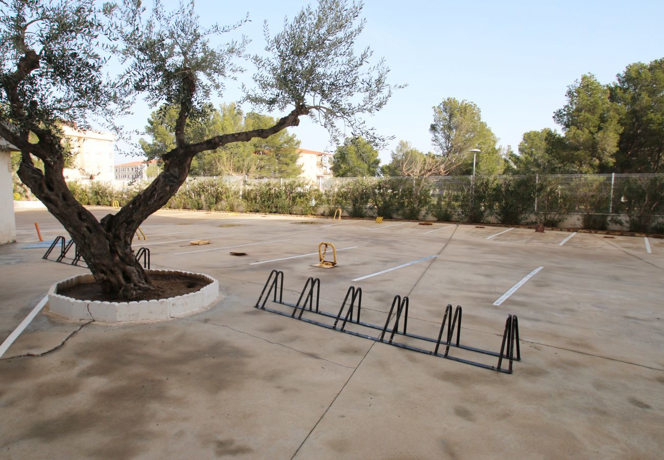 Apartment in Miami Playa - Apartamento Los Pelicanos Apartment in Miami Playa - Apartamento Los Pelicanos