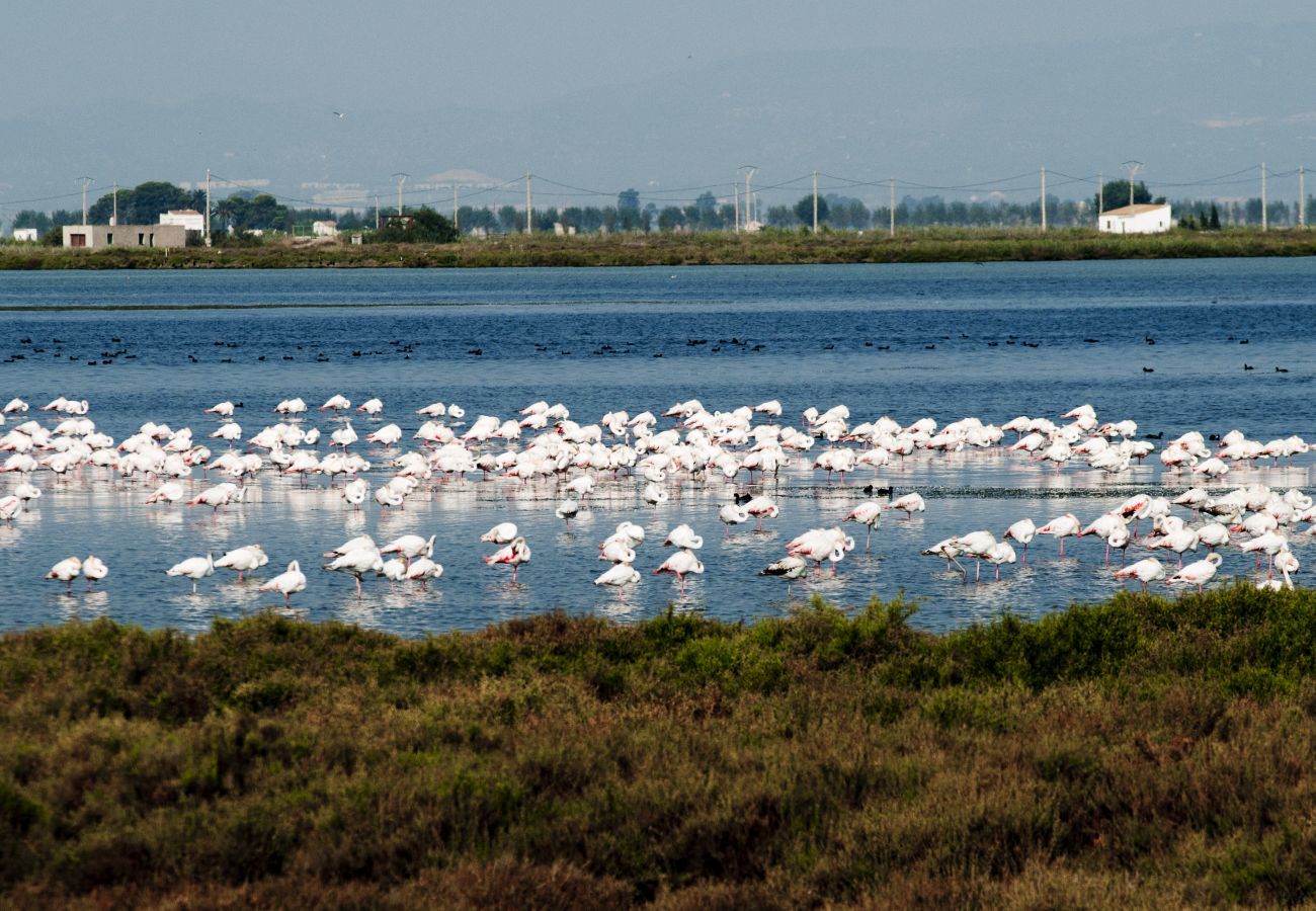 Apartment in Miami Playa - Apartamento Los Pelicanos Apartment in Miami Playa - Apartamento Los Pelicanos