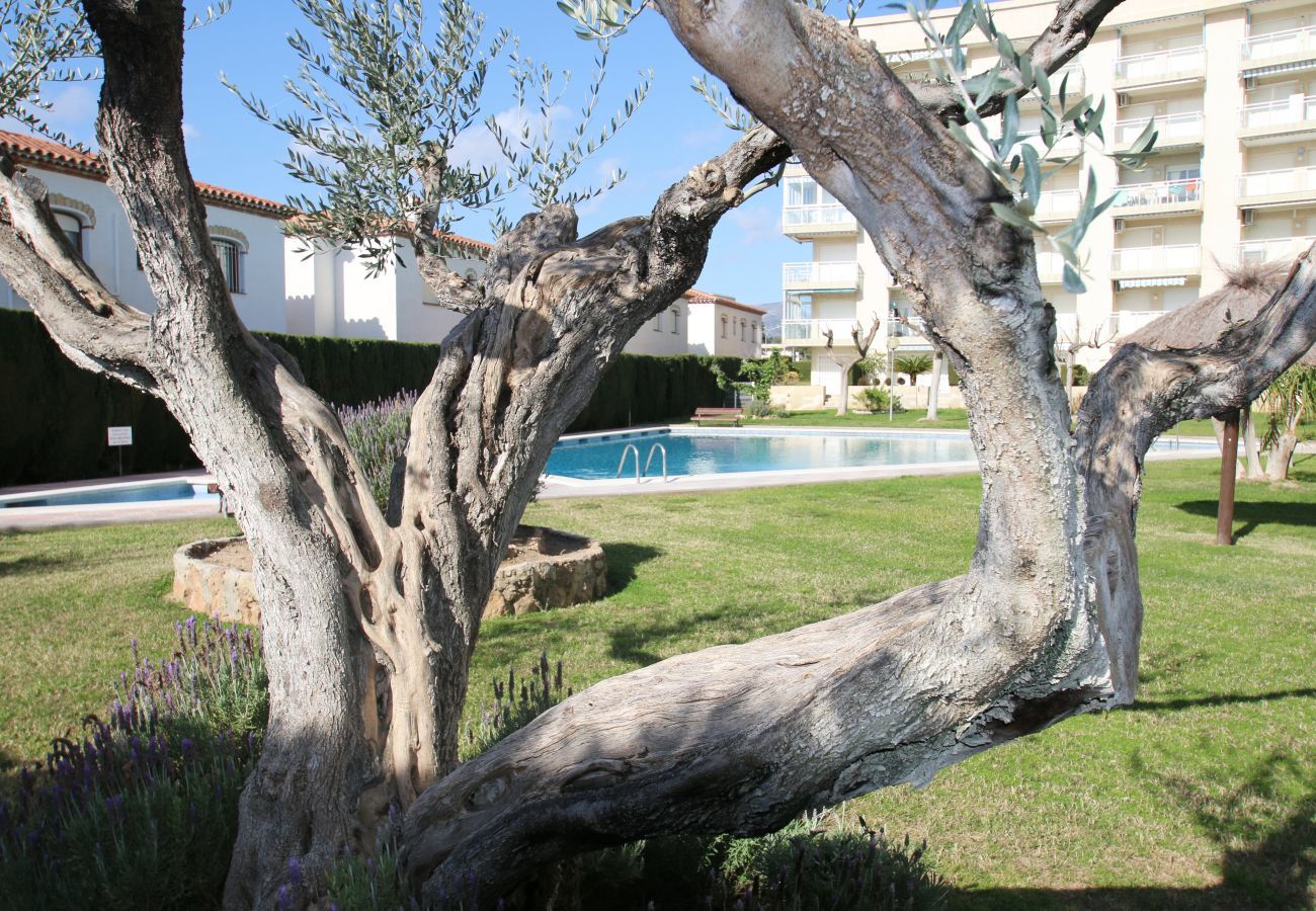 Apartment in Miami Playa - Apartamento Los Pelicanos Apartment in Miami Playa - Apartamento Los Pelicanos