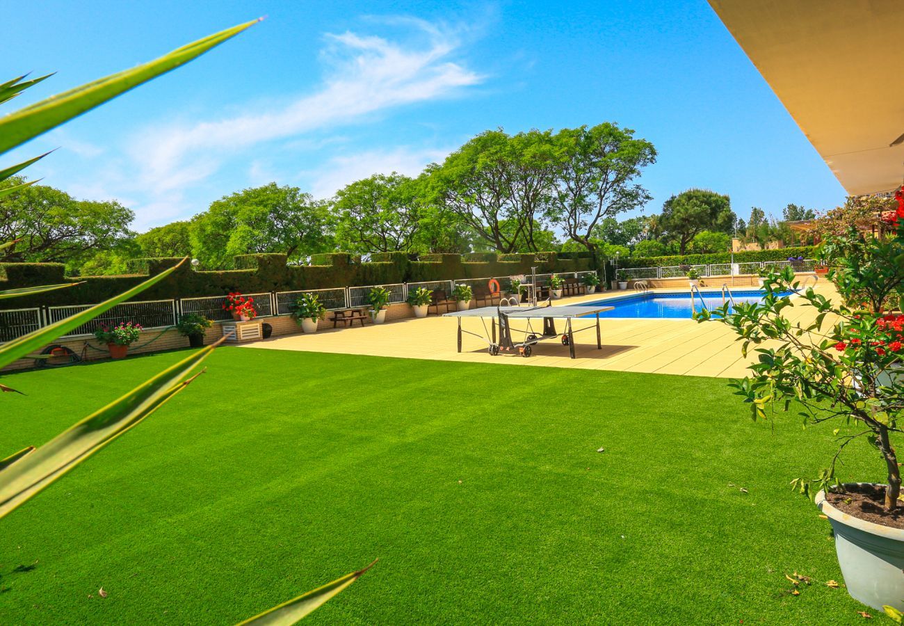 Apartment in Cambrils - TORRESOL 10 3 9 Apartment in Cambrils - TORRESOL 10 3 9