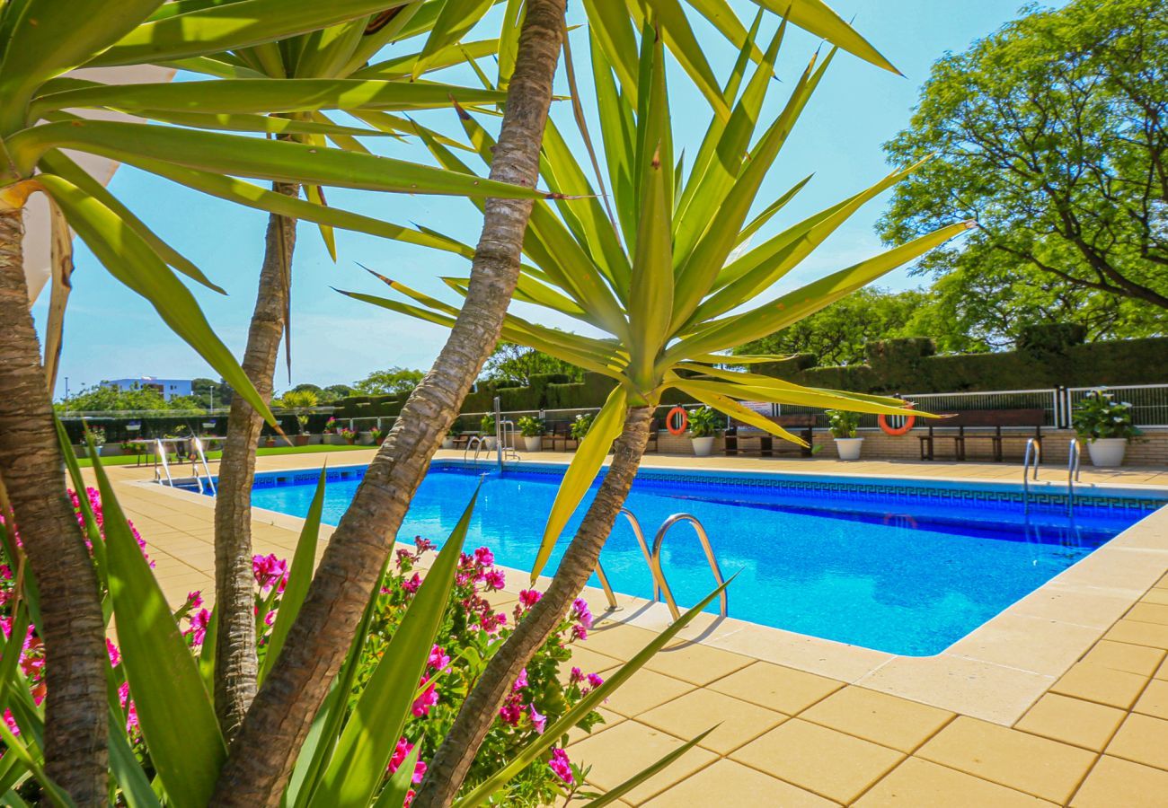 Apartment in Cambrils - TORRESOL 10 3 9 Apartment in Cambrils - TORRESOL 10 3 9