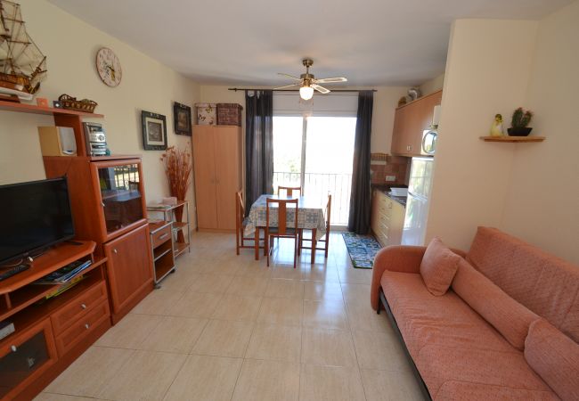 Download Apartamentos de 1 dormitorio en alquiler en el norte de la playa de miami Free HD