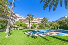 Apartamento en Cambrils - Regata 309