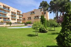 Apartamento en La Pineda - GOLDEN PINEDA C 4 A