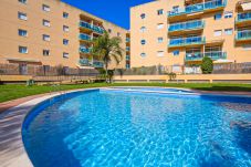 Apartamento en La Pineda - GOLDEN PINEDA C 4 A