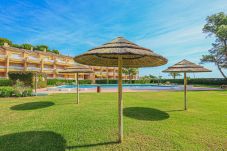 Apartamento en Miami Playa - GUARDAMAR  A 202
