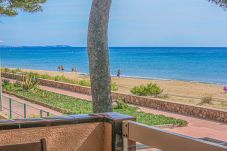 Apartamento en Miami Playa - GUARDAMAR  A 202