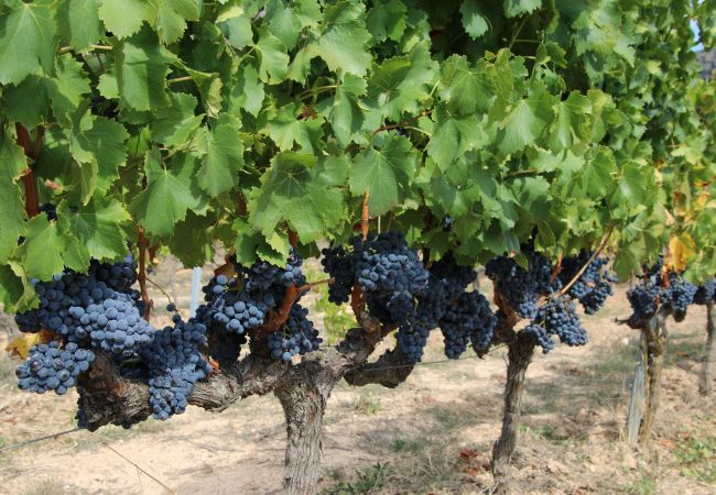 Apartamento en Miami Playa - Estudio 7 Apartamento en Miami Playa - Estudio 7