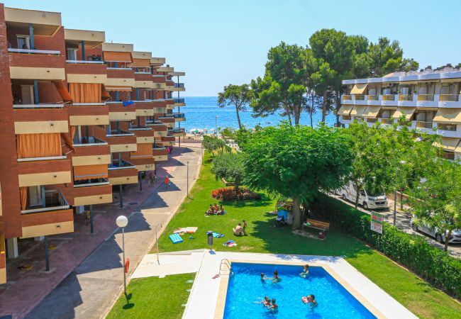 Apartamento en Cambrils - Mas den Gran D 1 7