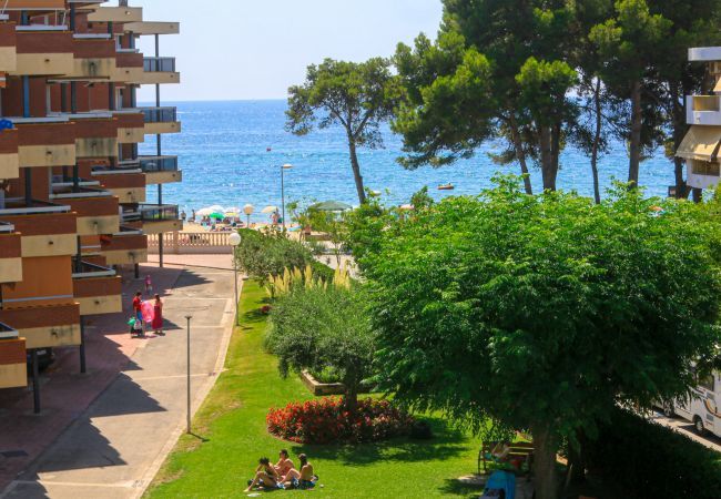 Apartamento en Cambrils - Mas den Gran D 1 7 Apartamento en Cambrils - Mas den Gran D 1 7