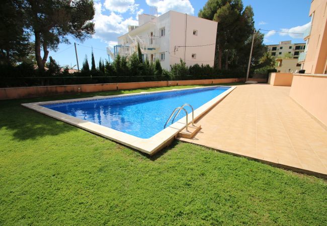 Apartamento en Miami Playa - Apartamento Mar i Cel 10