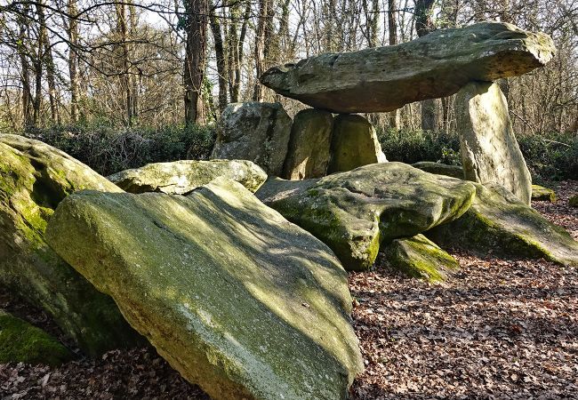 Casa adosada en Commequiers - hoomy10136 Casa adosada en Commequiers - hoomy10136