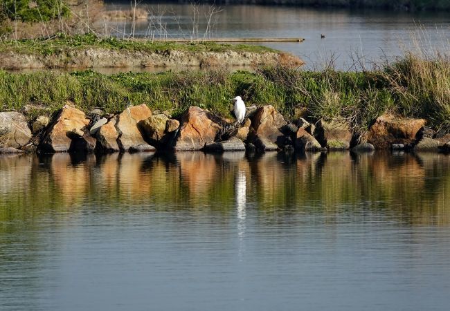 Apartamento en Saint-Jean-de-Monts - hoomy10597 Apartamento en Saint-Jean-de-Monts - hoomy10597