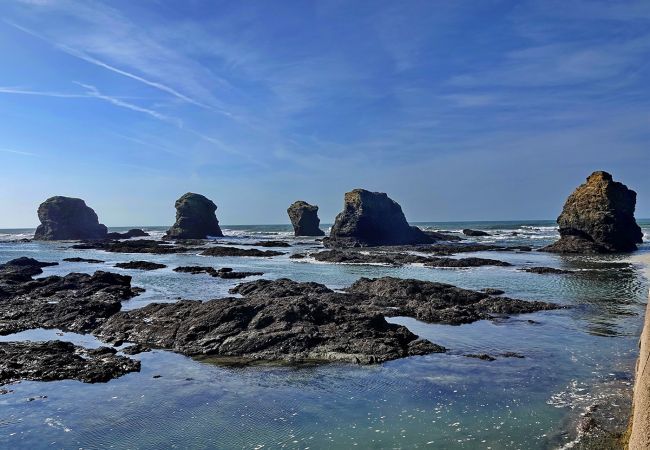 Apartamento en Saint-Hilaire-de-Riez - hoomy10406 Apartamento en Saint-Hilaire-de-Riez - hoomy10406