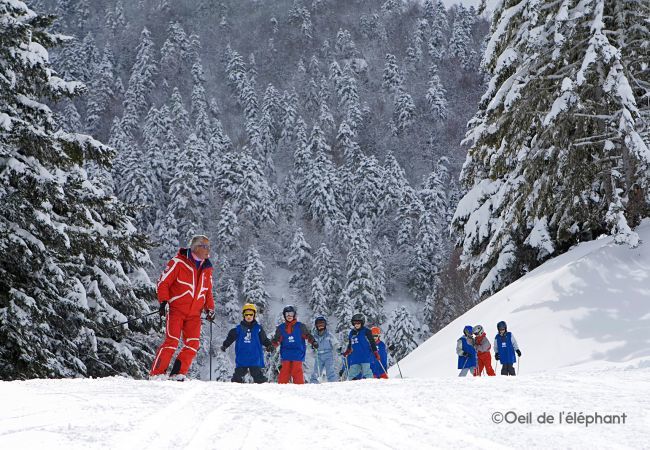 Apartamento en Adervielle-Pouchergues - hoomy10441 Apartamento en Adervielle-Pouchergues - hoomy10441