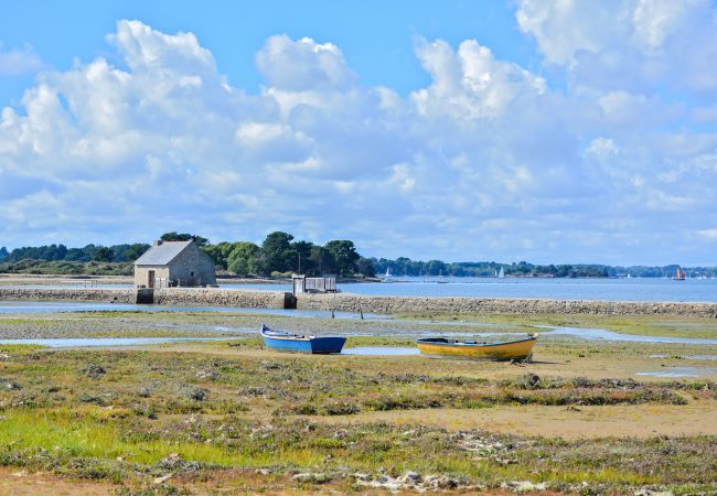 Apartamento en Sarzeau - hoomy10558 Apartamento en Sarzeau - hoomy10558