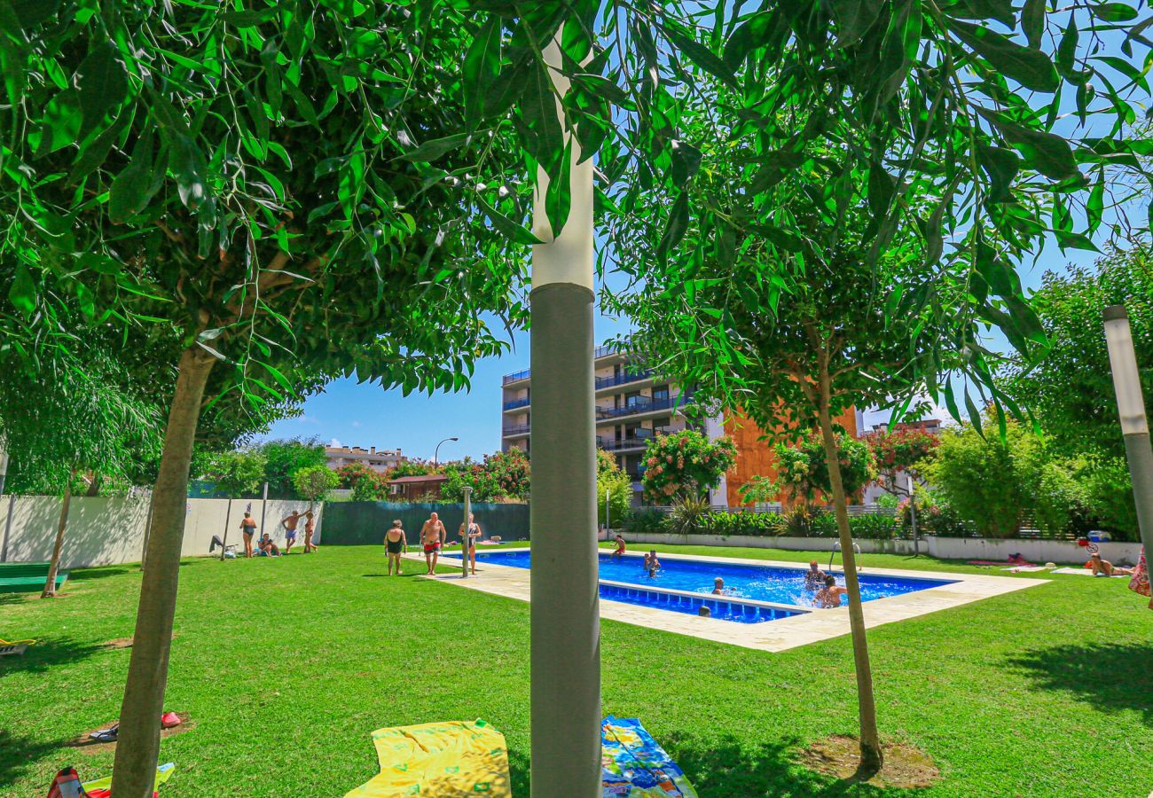 Apartamento en Cambrils - ALBA BAJOS 5 Apartamento en Cambrils - ALBA BAJOS 5