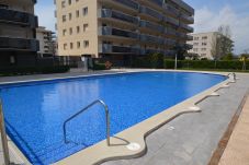 Appartement à La Pineda - NOVA PINEDA AS 2HAB 323