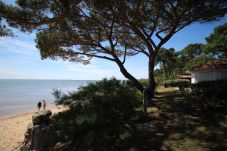 Appartement à Andernos-les-Bains - WRTZ04B4
