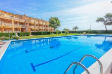 Appartement à Miami Playa - GUARDAMAR  A 202