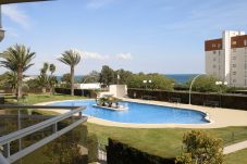 Appartement à Miami Playa - Apartamento Bellavista 114