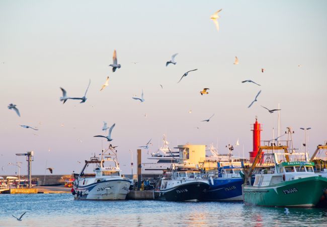 Villa à Mont-Roig del Camp - Villa Rustical 14 Costa Dorada Villa à Mont-Roig del Camp - Villa Rustical 14 Costa Dorada
