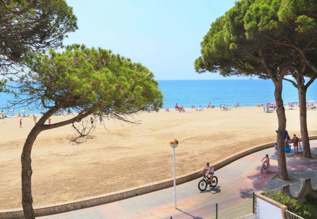 Appartement à Cambrils - Playmar 305 Appartement à Cambrils - Playmar 305