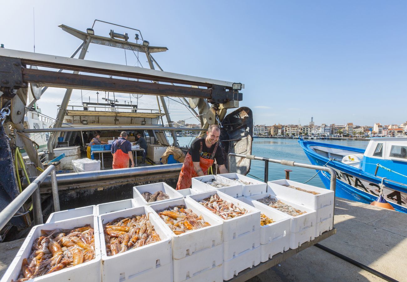 Appartement à Cambrils - Apartamento Les Palmeres Appartement à Cambrils - Apartamento Les Palmeres